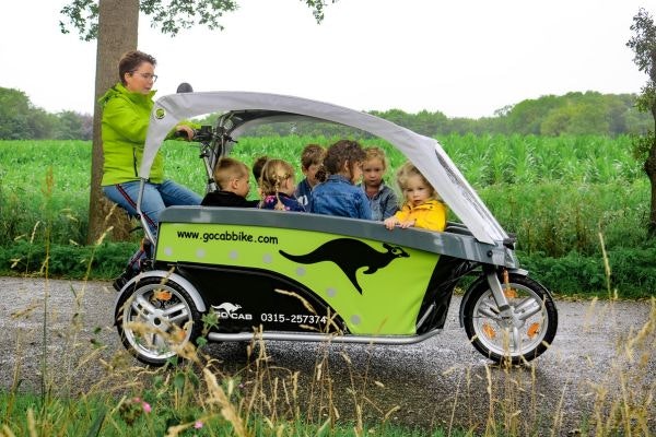 Purchasing options GoCab bicycle cab for children