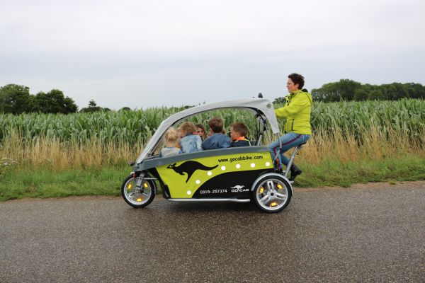 gocab bicycle cab is suitable for children aged 2 to 8 years
